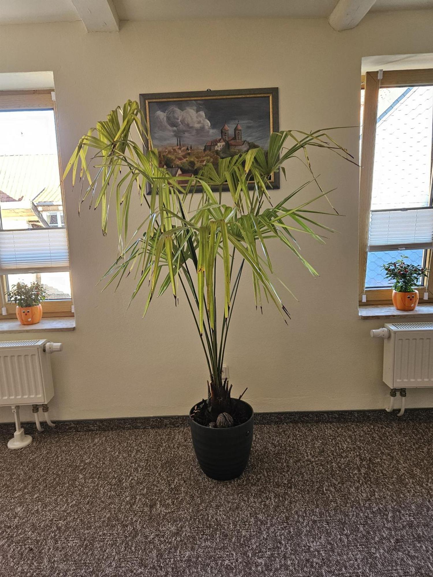 Ferienwohnung Goldstr.7 Кведлинбург Экстерьер фото